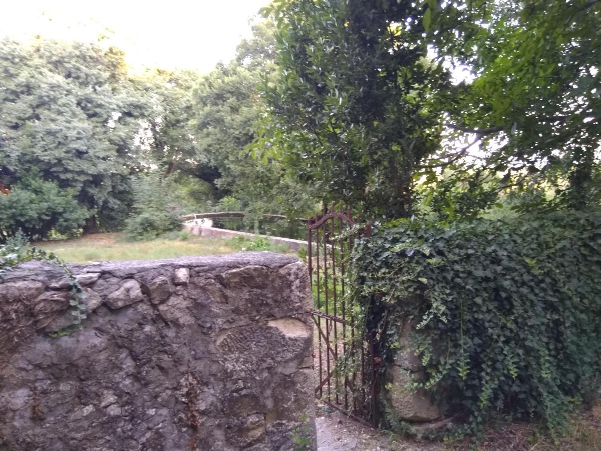 Jankovich Castle Apartment Benkovac Bagian luar foto