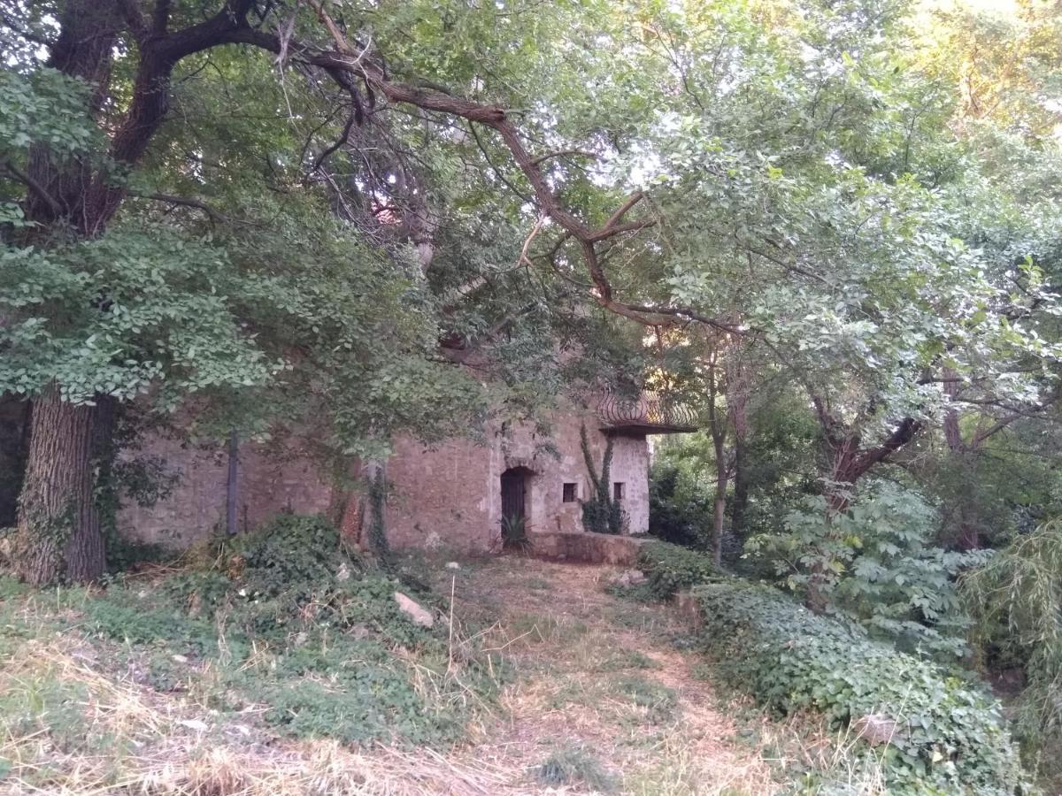 Jankovich Castle Apartment Benkovac Bagian luar foto